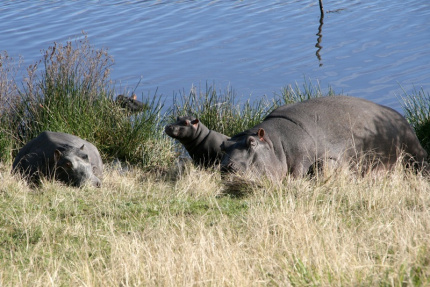 bloukrans-47