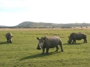 bloukrans-44