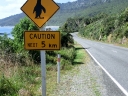 hokitika (03)