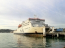 picton (02)