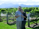 picton (13)