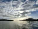 picton (22)