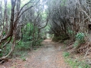 picton (26)