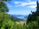 picton (28)