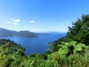 picton (30)