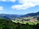 picton (32)
