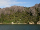 picton (35)