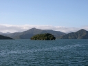 picton (39)