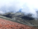 tongario (10)