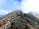 tongario (11)
