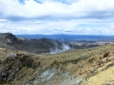 tongario (28)