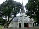 tongario (54)