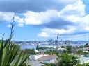 auckland (16)
