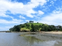 auckland (17)