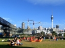 auckland (26)