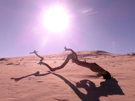 dehoop-09