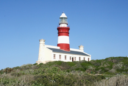 dehoop-19