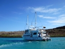 galapagos1-32