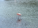 galapagos2-02