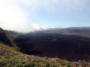 galapagos2-04