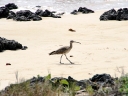galapagos2-06