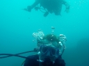 galapagos2-106