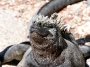galapagos2-34