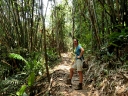 gibbon (08)
