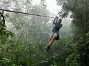 gibbon (55)