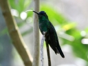 iguazu-47