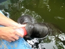 iquitos-112