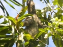 iquitos-19