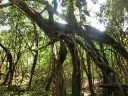 iquitos-58