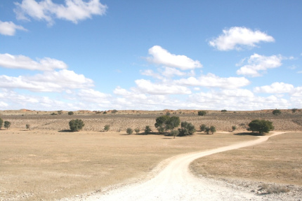 kalahari-13