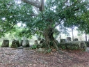 phonsavan (17)