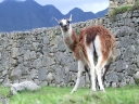 salkantay-87