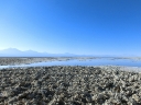 sanpedro-02