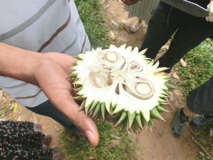 sansibar-57