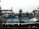 singapur2 (14)