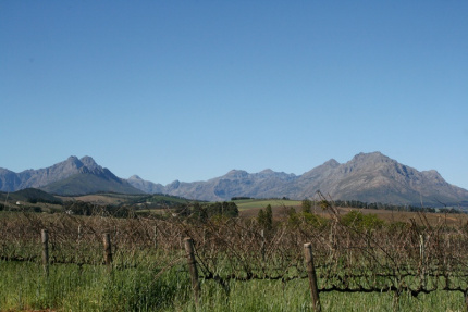 stellenbosch-04