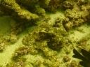 suedsee1 (35)