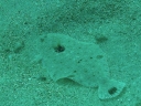 suedsee1 (38)