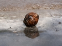 suedsee2 (12)