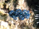 suedsee2 (124)