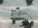 suedsee2 (125)