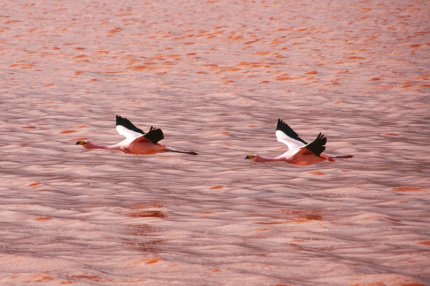 uyuni-12