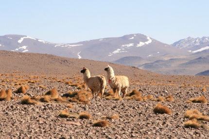 uyuni-16