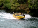 waitomo (26)