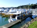 whangarei (67)